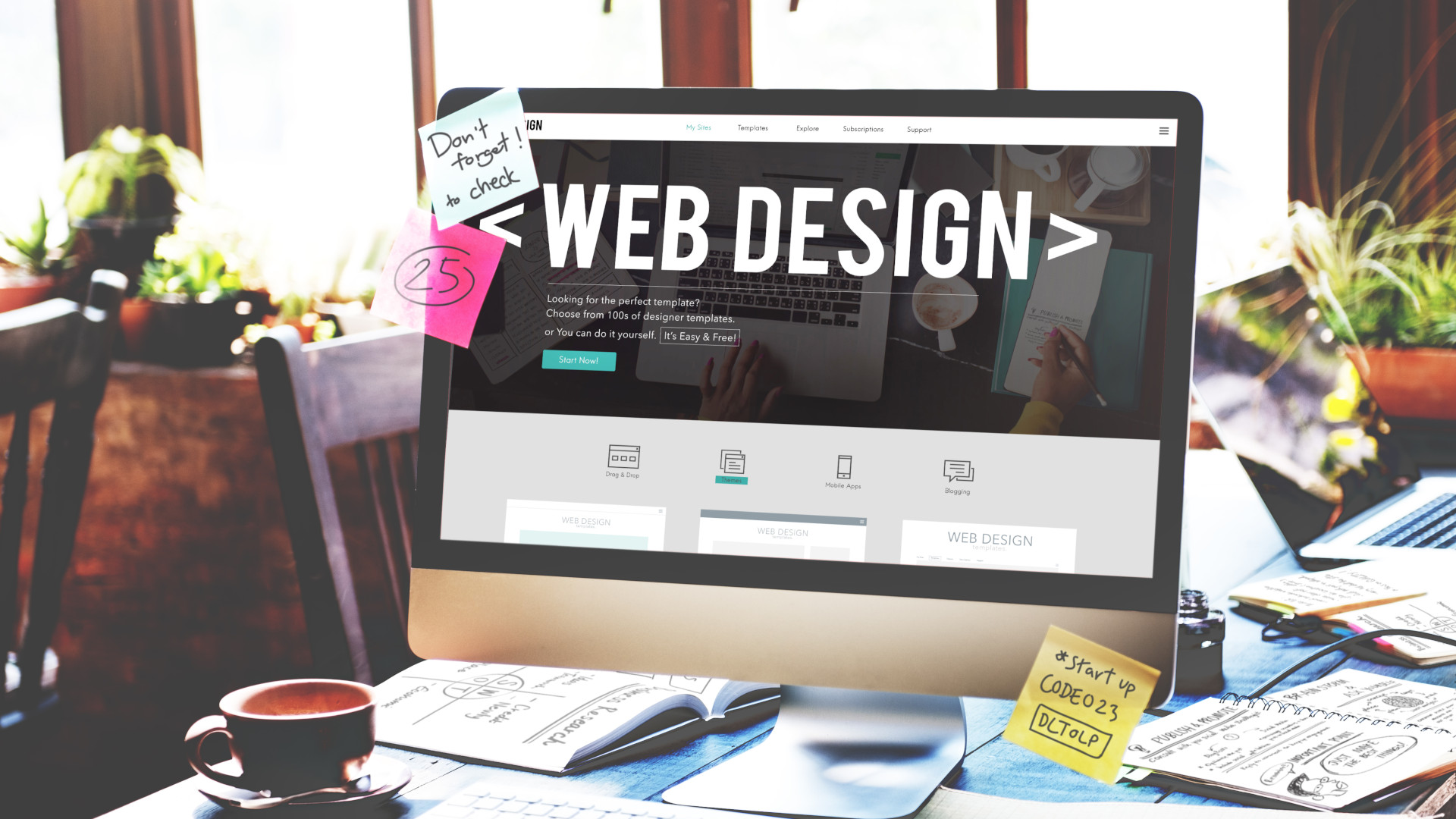 WEB DESIGN DEVELOPMENT